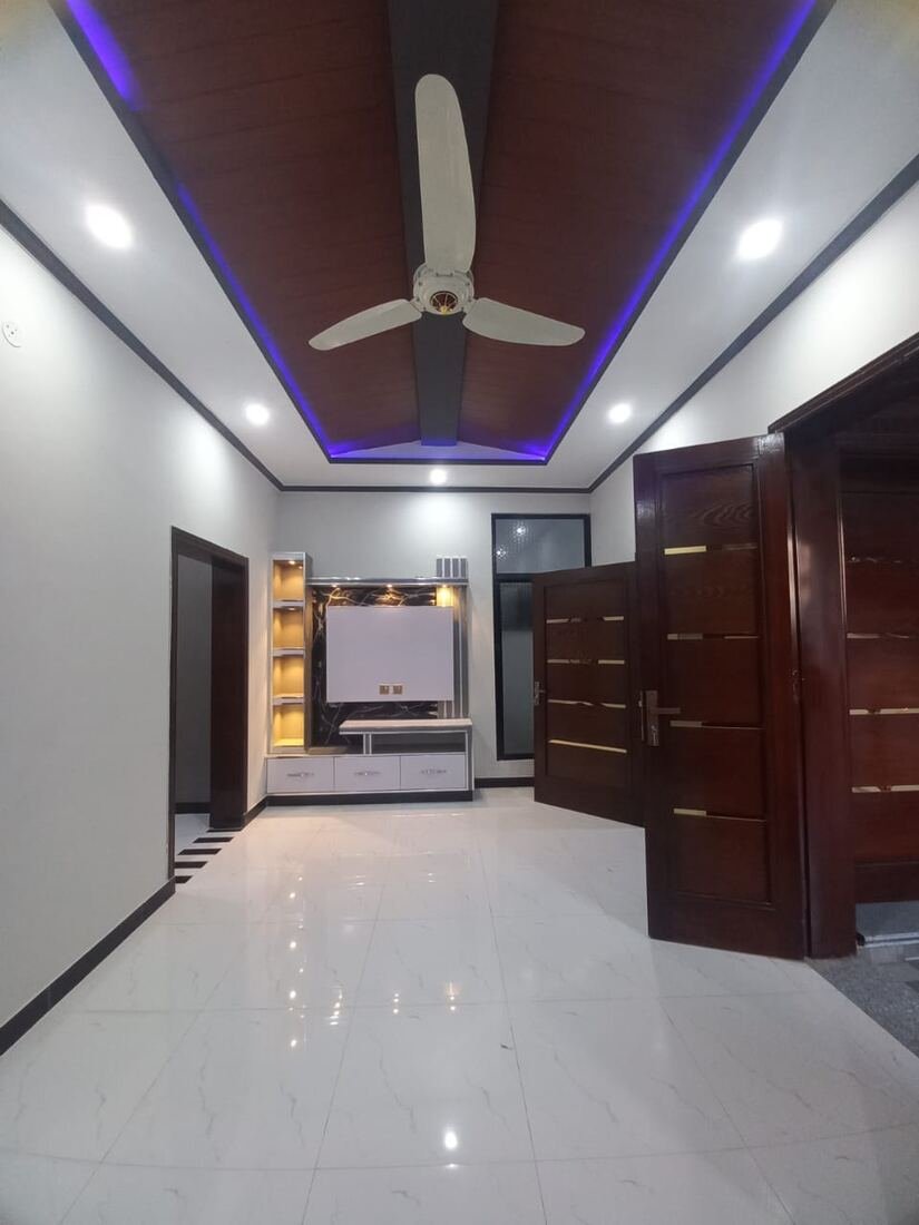 Hall and drawing room design